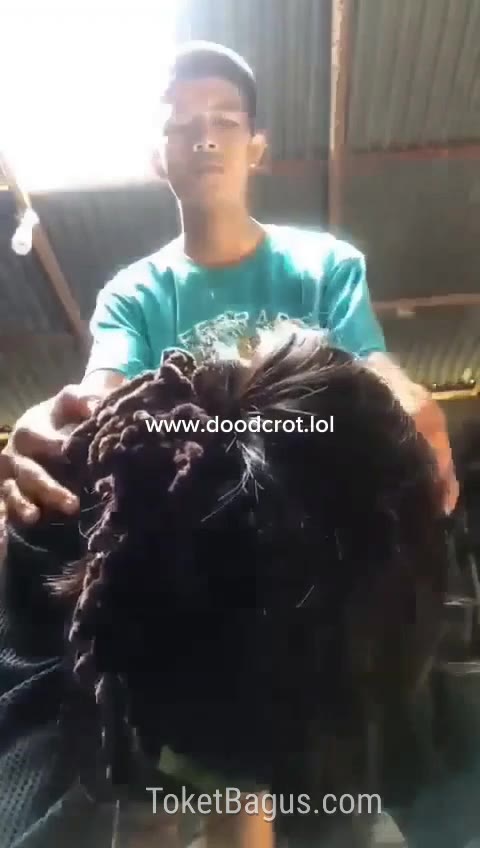 Adik Kakak Ngewe Di Dapur