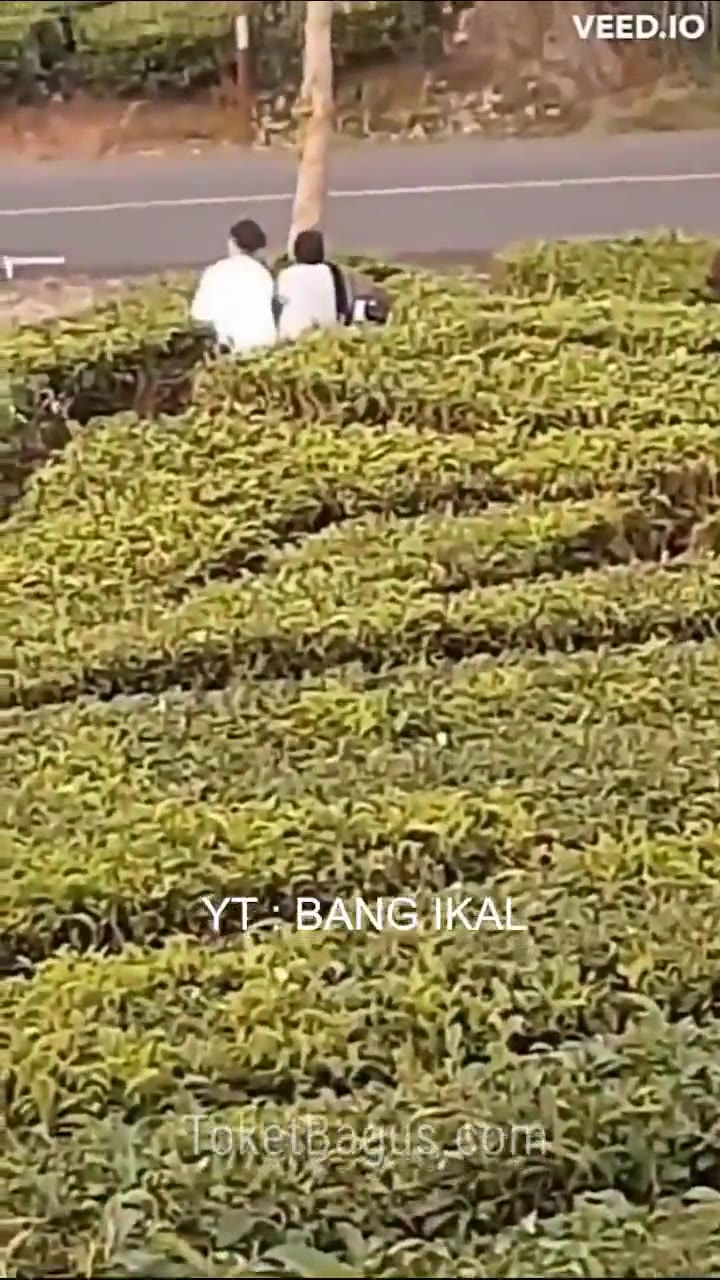 Viral Ciwidey Wanita Bercadar